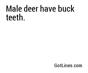 Male deer have buck teeth.
