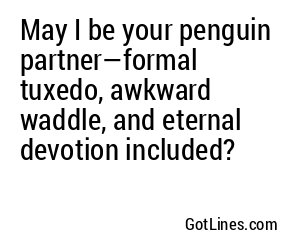 May I be your penguin partner—formal tuxedo, awkward waddle, and eternal devotion included?