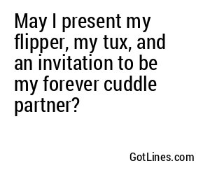 May I present my flipper, my tux, and an invitation to be my forever cuddle partner?