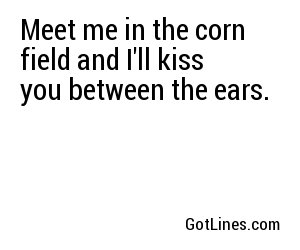 Meet me in the corn field and I'll kiss you between the ears.
