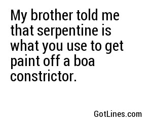 My brother told me that serpentine is what you use to get paint off a boa constrictor.
