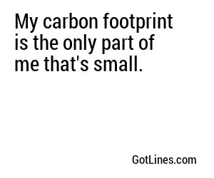My carbon footprint is the only part of me that's small.
