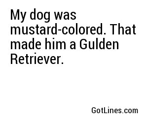 My dog was mustard-colored. That made him a Gulden Retriever.
