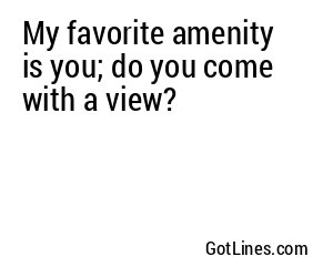 My favorite amenity is you; do you come with a view?