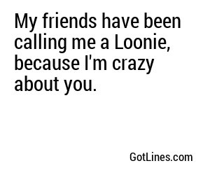 My friends have been calling me a Loonie, because I'm crazy about you.
