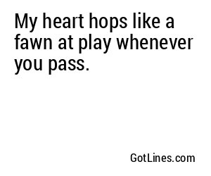 My heart hops like a fawn at play whenever you pass.