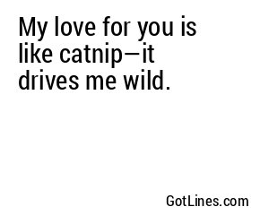 My love for you is like catnip—it drives me wild.
