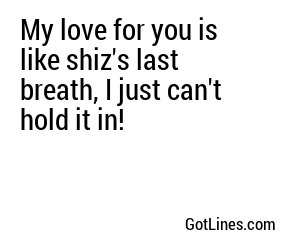 My love for you is like shiz's last breath, I just can't hold it in!
