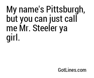 My name's Pittsburgh, but you can just call me Mr. Steeler ya girl.
