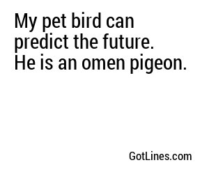 My pet bird can predict the future. He is an omen pigeon.
