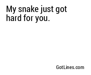My snake just got hard for you.