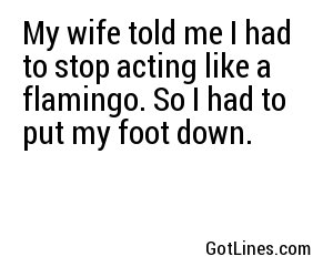 My wife told me I had to stop acting like a flamingo. So I had to put my foot down.