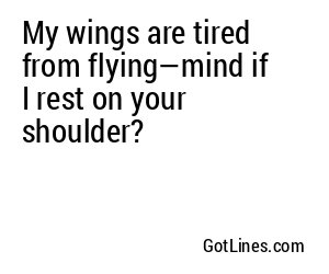 My wings are tired from flying—mind if I rest on your shoulder?