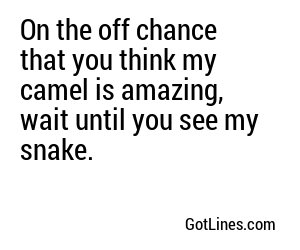 On the off chance that you think my camel is amazing, wait until you see my snake.
