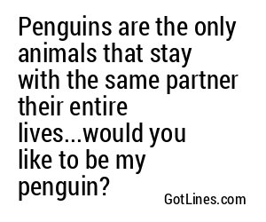 Penguins are the only animals that stay with the same partner their entire lives...would you like to be my penguin?
