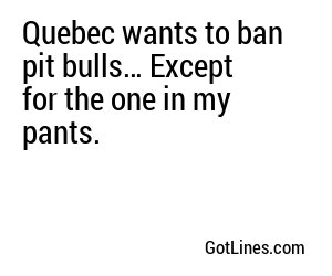 Quebec wants to ban pit bulls… Except for the one in my pants.
