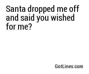 Santa dropped me off and said you wished for me?
