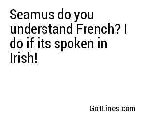 Seamus do you understand French? I do if its spoken in Irish!
