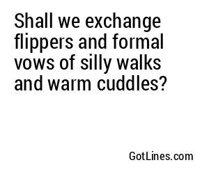 Shall we exchange flippers and formal vows of silly walks and warm cuddles?