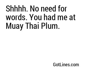 Shhhh. No need for words. You had me at Muay Thai Plum.
