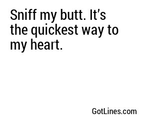 Sniff my butt. It’s the quickest way to my heart.
