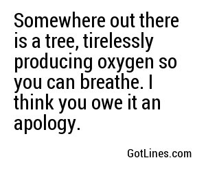 Somewhere out there is a tree, tirelessly producing oxygen so you can breathe. I think you owe it an apology. 