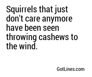 Squirrels that just don't care anymore have been seen throwing cashews to the wind.
