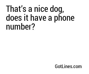 That’s a nice dog, does it have a phone number?
