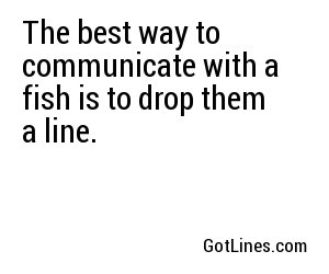 The best way to communicate with a fish is to drop them a line.
