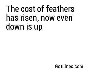 The cost of feathers has risen, now even down is up