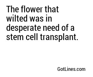 The flower that wilted was in desperate need of a stem cell transplant.
