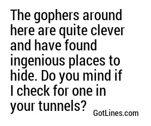 The gophers around here are quite clever and have found ingenious places to hide. Do you mind if I check for one in your tunnels?
