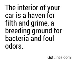 The interior of your car is a cesspool of filth and neglect, a breeding ground for bacteria and regret.
