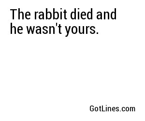 The rabbit died and he wasn't yours. 