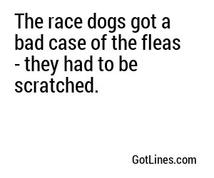 The race dogs got a bad case of the fleas - they had to be scratched.
