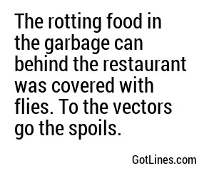 The rotting food in the garbage can behind the restaurant was covered with flies. To the vectors go the spoils.
