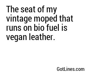 The seat of my vintage moped that runs on bio fuel is vegan leather.

