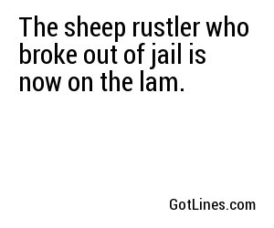 The sheep rustler who broke out of jail is now on the lam.

