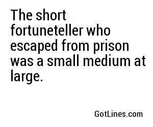 The short fortuneteller who escaped from prison was a small medium at large.