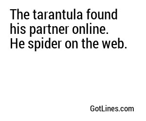 The tarantula found his partner online. He spider on the web.
