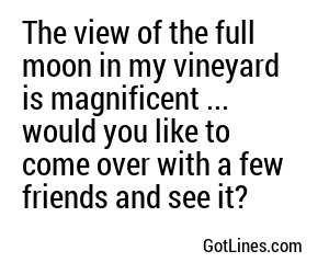 The view of the full moon in my vineyard is magnificent ... would you like to come over with a few friends and see it?
