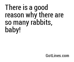 There is a good reason why there are so many rabbits, baby!
