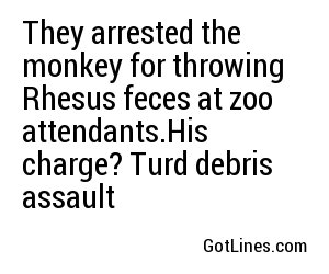 They arrested the monkey for throwing Rhesus feces at zoo attendants.His charge? Turd debris assault
