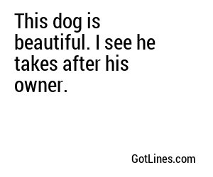 This dog is beautiful. I see he takes after his owner.
