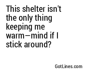 This shelter isn't the only thing keeping me warm—mind if I stick around?