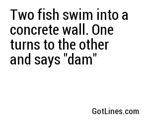 Two fish swim into a concrete wall. One turns to the other and says 