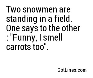 Two snowmen are standing in a field. One says to the other : 