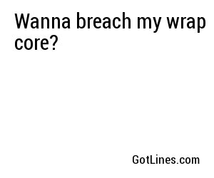 Wanna breach my wrap core?
