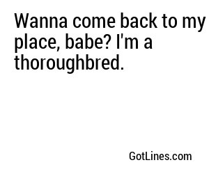 Wanna come back to my place, babe? I'm a thoroughbred.
