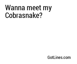Wanna meet my Cobrasnake?

